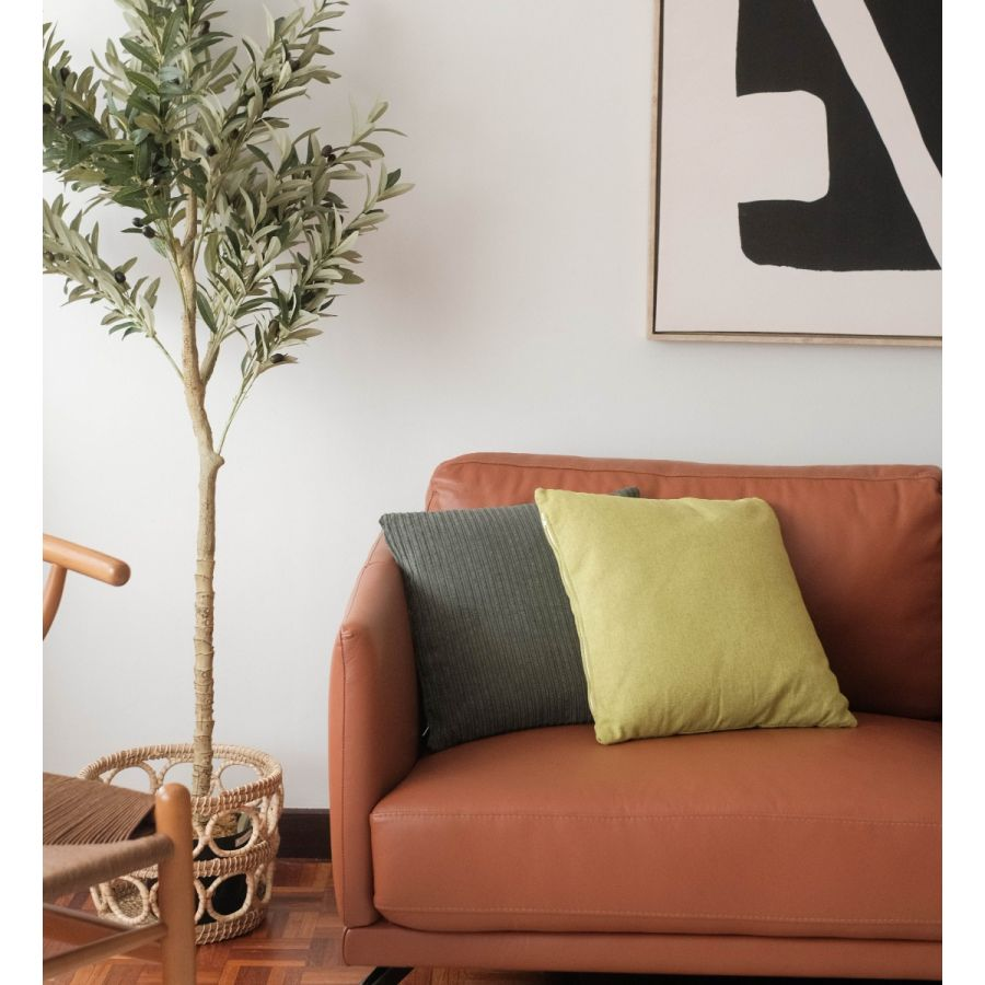 Use More Colours To Match Sofas